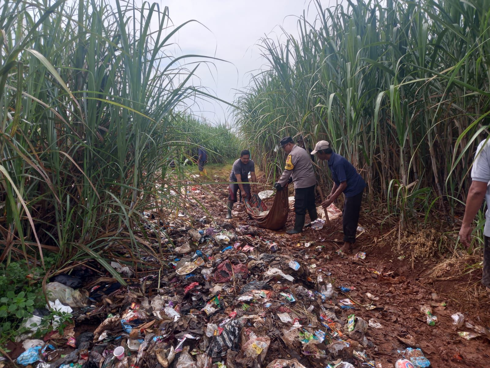 Bhabinkamtibmas Desa Rancamahi dan Warga Gelar Aksi Bersih-Bersih Pinggir Jalan di Perkebunan Tebu