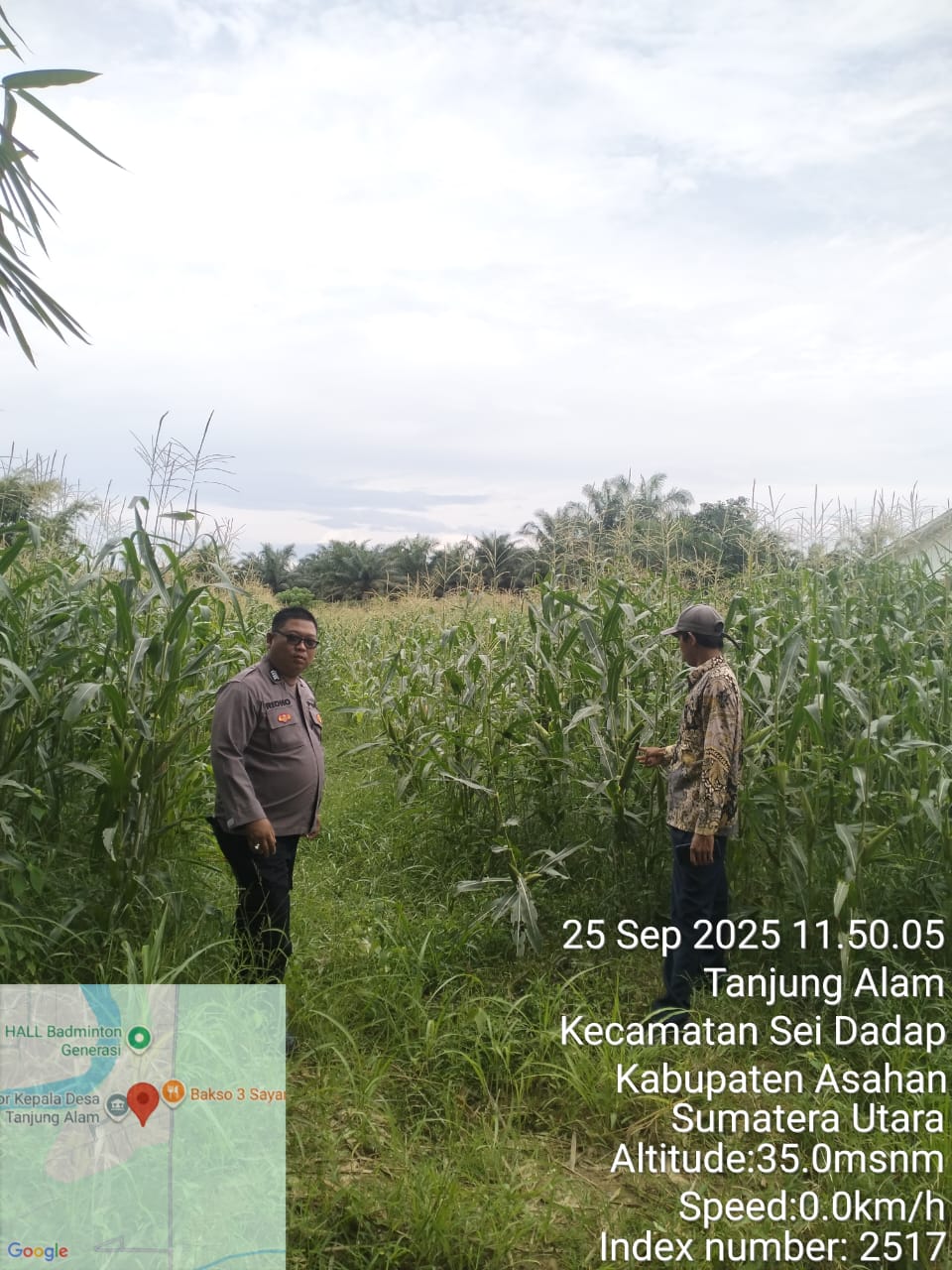 Bhabinkamtibmas Polsek Air Batu Cek Lahan Jagung Dukung Program Ketahanan Pangan